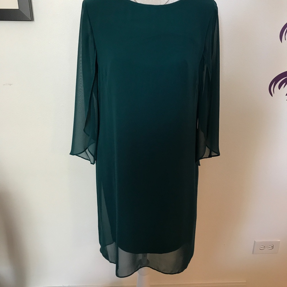 Green chiffon dress🌳